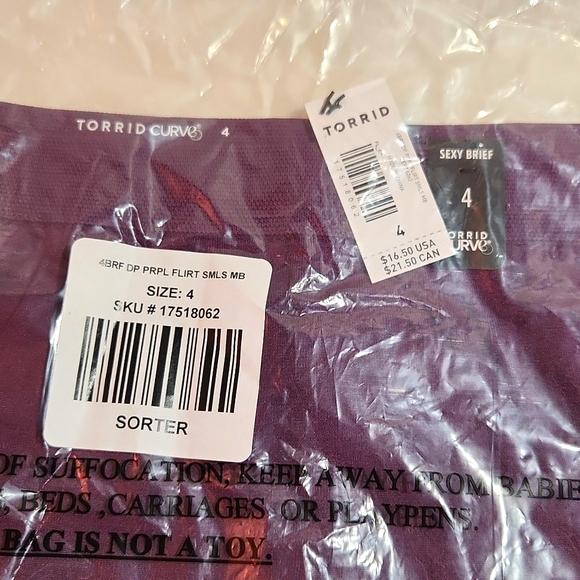 ❤️NWT VINTAGE TORRID PANTY - LACE BACK SEAMLESS FLIRT MID-RISE BRIEF SIZE 4X - Picture 7 of 9